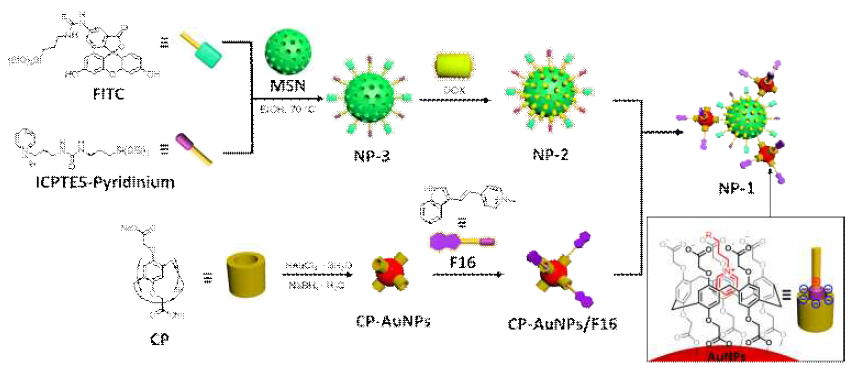 필라[5]아렌(CP)이 도입된 다기능성 나노운반체 제조 모식도