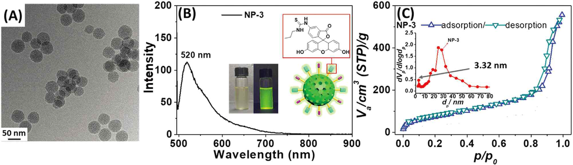 A) NP-3의 투과전자현미경 사진. B) NP-3의 형광스펙트럼 C) NP-3의 질소기체 흡착 그래프
