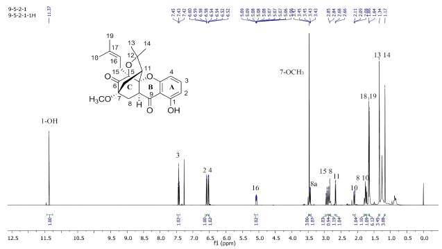 화합물 1의 1H-NMR스펙트럼 (500 MHz, CDCl3)