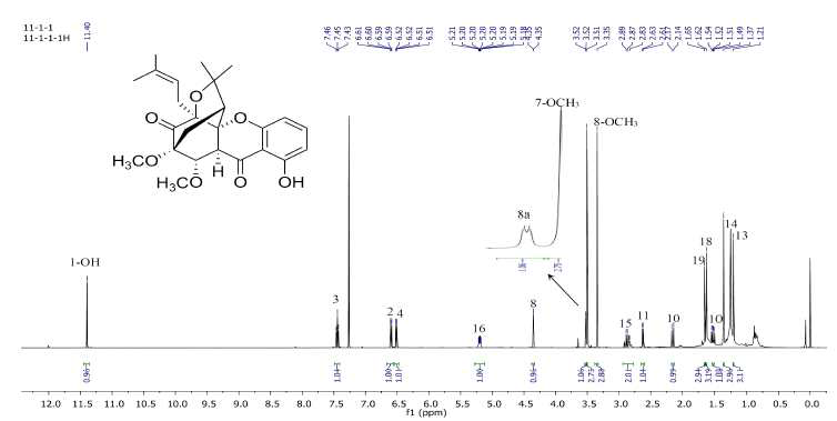 화합물 4의 1H-NMR 스펙트럼 (500 MHz, CDCl3)