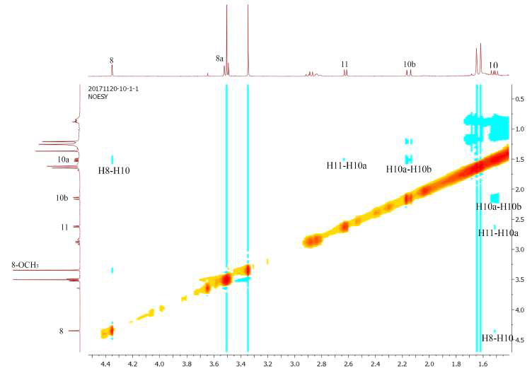 화합물 4의 NOESY 스펙트럼 (500 MHz, CDCl3)