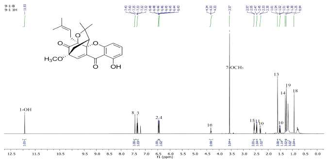 화합물 5의 1H-NMR 스펙트럼 (500 MHz, CDCl3)