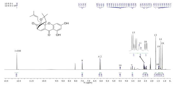 화합물 6의 1H-NMR 스펙트럼 (500 MHz, Acetone- d6)