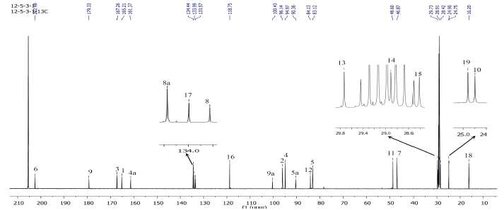 화합물 6의 13C-NMR 스펙트럼 (500 MHz, Acetone- d6)