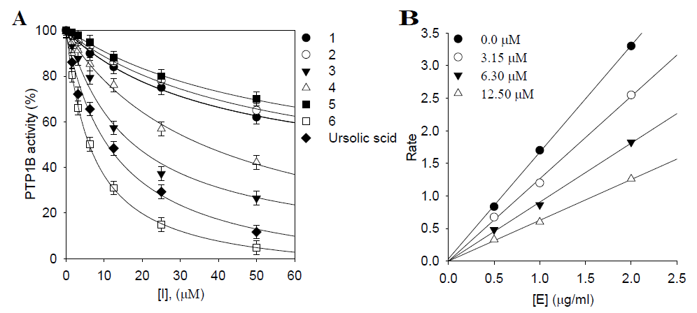 (A) 발굴된 유용대사체 (1-6)의 농도에 따른 PTP1B 저해활성 (B) 화합물 6의 농도 및 PTP1B 농도에 따른 상관관계 (가역적저해제)