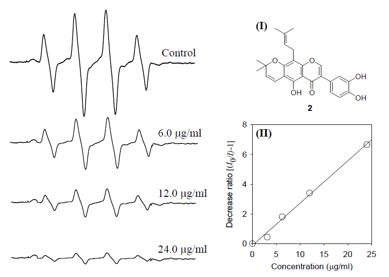 화합물 2의 농도별 하이드록시 라디칼 소거능을 보이는 ESR 스펙트럼 (I) 화합물 2의 구조 (II) 화합물 2의 농도에 따른 하이드록시 라디칼 ESR 높이의 상관관계
