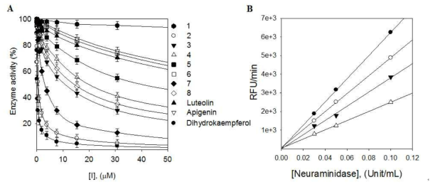 (A) 발굴된 유용대사체 (1-8)의 농도에 따른 Neuraminidase 저해활성 (B) 화합물 1의 농도 및 Neuraminidase 농도에 따른 상관관계 (가역적저해제)