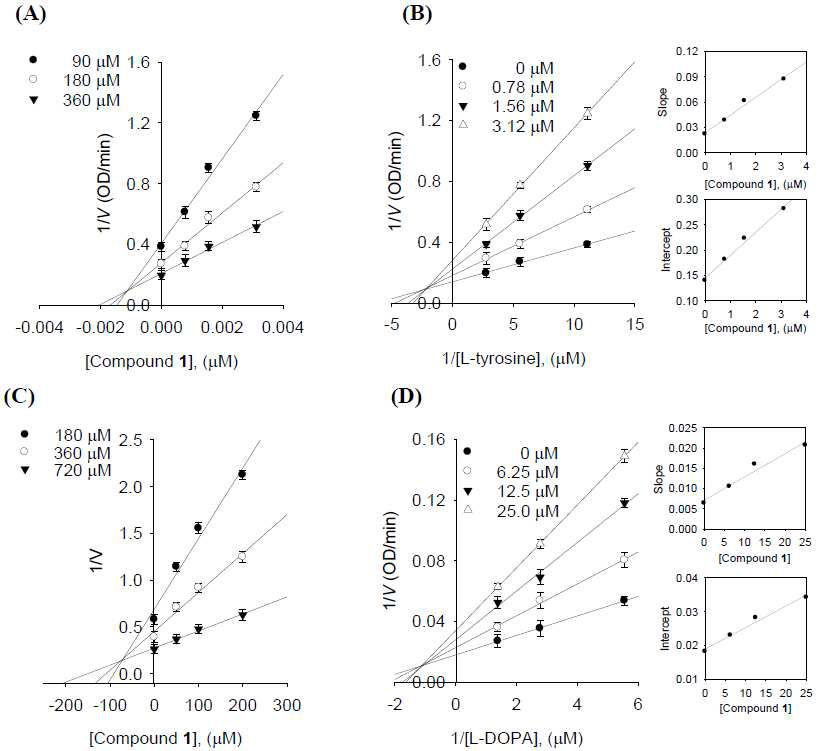 화합물 1의 Tyrosinase 저해활성. (A) Monophenolase에 대한 Linewerver-Burk plots, (B) Monophenolase에 대한 Dixon plots, (C) Diphenolase에 대한 Linewerver-Burk plots, (D) Diphenolase에 대한 Linewerver-Burk plots