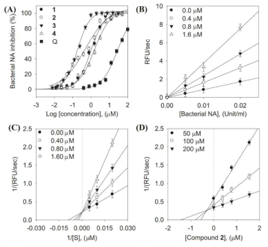 (A) 화합물 1–4과 퀘르세틴의 농도에 따른 bacterial neuraminidase에 대한 저해 효과, (B) 화합물 2의 농도 및 neuraminidase (가역적저해제), (C) 화합물 2의 라인위버- 벌크 플롯, (D) 화합물 2의 딕슨플롯