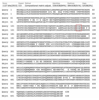 돼지(Sbject)와 사람(Query)간의 GHR유전자의 염기서열 분석. 돼지와 사람 GHR의 유전자 서열분석을 통해 인간 SNP로부터 돼지 SNP(붉은색 사각형)를 발굴