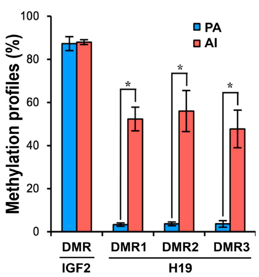 IGF2 및 H19 유전자의 differential methylated regions(DMRs)의 CpG 메틸화 프로파일. PA 태아 n=3; AI 태아 n=3, *p<0.05
