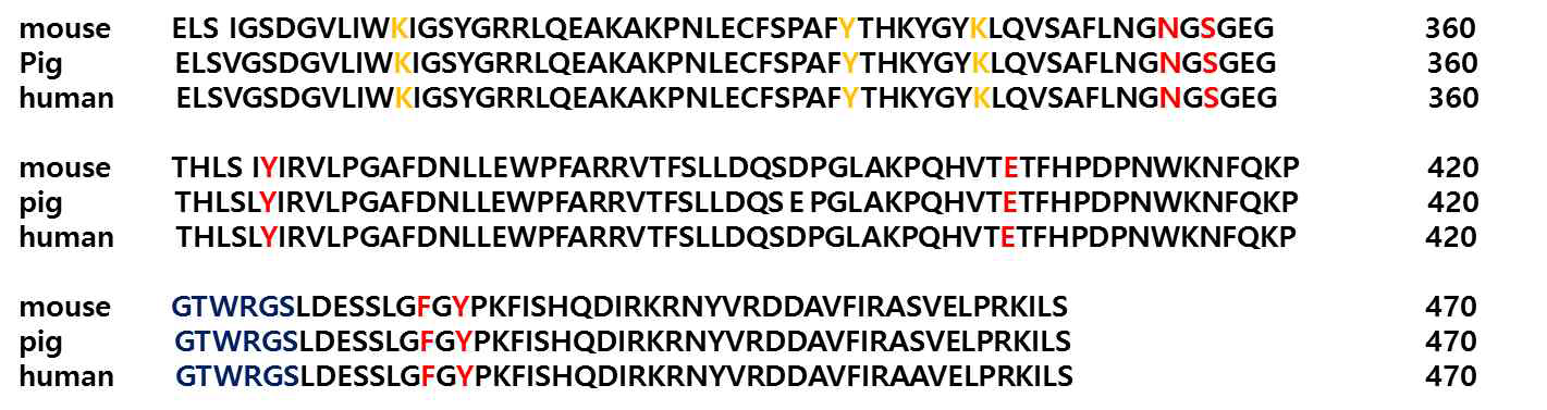 TRAF4의 TRAF의 보존된 결합 반응 자리 노랑 : PIP3 결합자리, 파랑 : 421GTWRGS426 자리, 빨강 : N355, S357, Y366, F434, Y436 의 보존된 결합자리