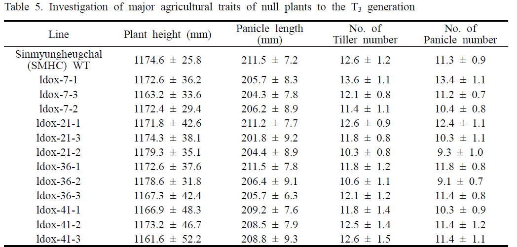 LDOX 유전자 편집 null 계통 후대(T3)에서 농업적 특성 분석