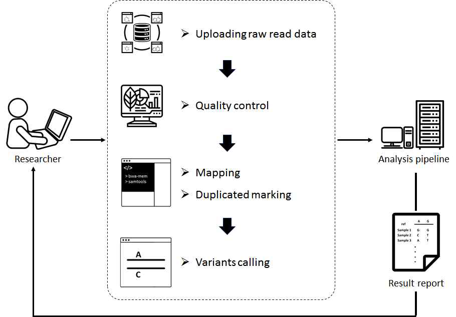 무 유전체 재분석 파이프라인의 인터페이스와 데이터 분석 순서도