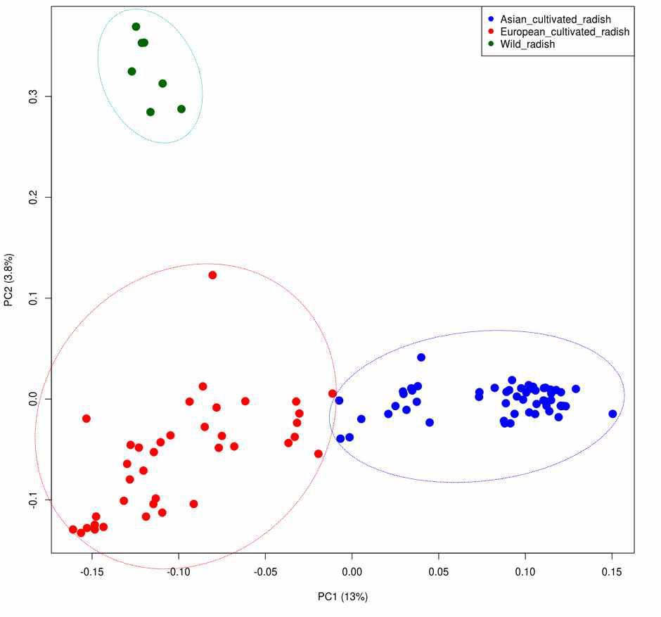 무 100개 계통의 SNP를 이용한 multidimensional scaling. 각 계통의 유전적 기원은 기존 연구(Kim 등, 2016; Lee 등, 2018) 및 유전자원 센터 패스포드 정보에 따라 분류함. 파란색 원, 아시아 기원 계통; 빨간색 원, 유럽 기원 계통; 녹색 원, R. raphanistrum 계통 야생종