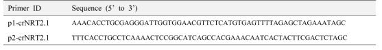 NRT2.1 유전자 dual sgRNA 클로닝을 위한 프라이머