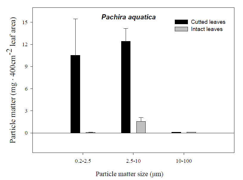 파키라 잎에 흡착된 미세먼지 입자 크기별 중량법으로 제거량 측정 (PM2.5 exposure: 300ug/m3 4h, 처리 전 측정할 잎 Wash 함)