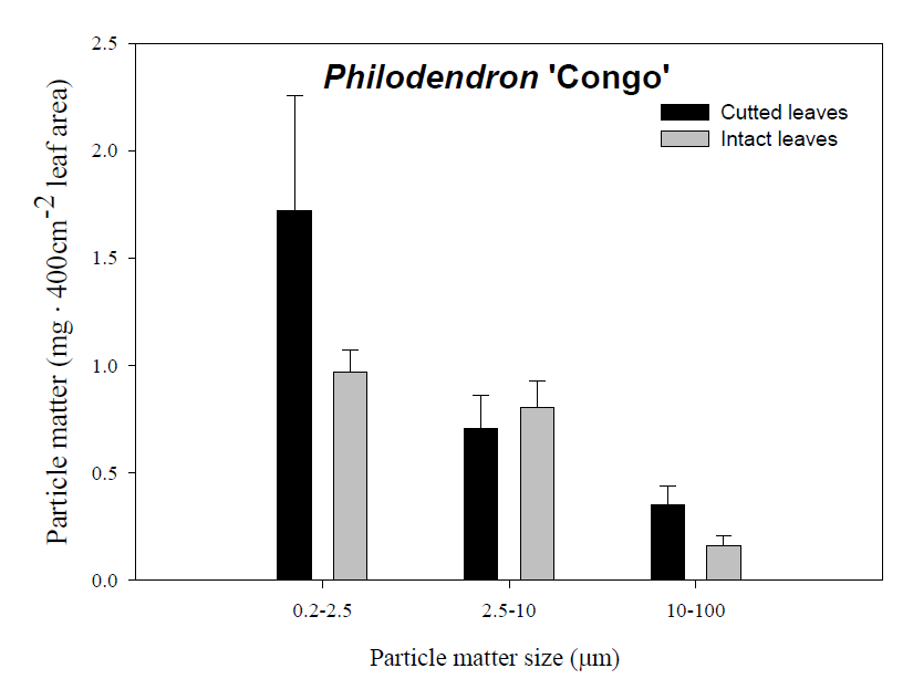 필로로덴드론‘콩고’잎에 흡착된 미세먼지 입자 크기별 중량법으로 제거량 측정 (PM2.5 exposure: 300ug/m3 4h, 처리 전 측정할 잎 Wash 함)