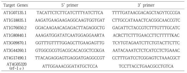Real-time PCR을 이용한 식물의 유전자 발현량을 측정하기 위한 primer