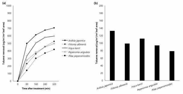 초본 식물의 toluene 능력. (a), 식물의 시간당 toluene 제거량; (b) 식물의 시간당 평균 toluene 제거량