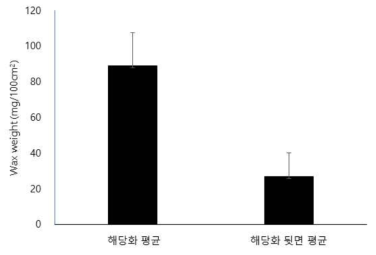 해당화 잎의 왁스 함량