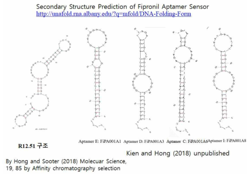 피프로닐 앱타머 4종의 구조 및 구식 방법에의한 앱타머 구조(좌측)
