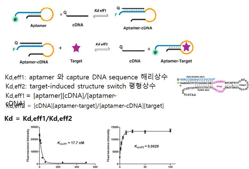 앱타머의 표적 유해성분 결합 친화력 계산법
