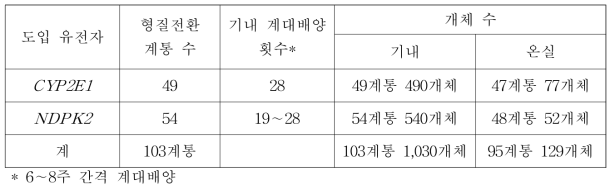 CYP2E1 및 NDPK2 도입 산호수 형질전환체 기내 계대배양 및 온실 재배 개체 수