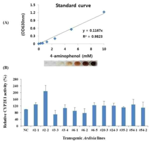 형질전환 산호수의 CYP2E1 효소 활성 측정