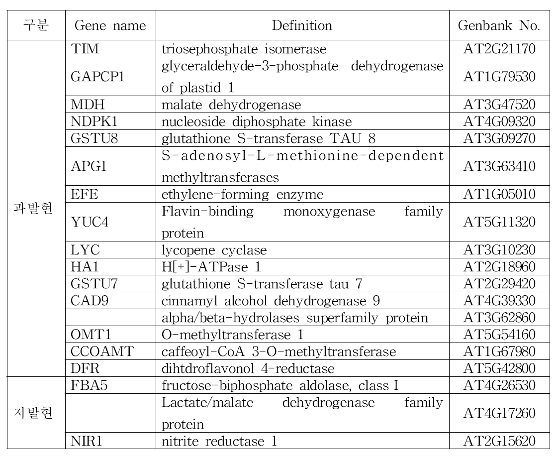 Metabolic pathway 관련 전사 유전자 목록: 19(과발현 16, 저발현 3)