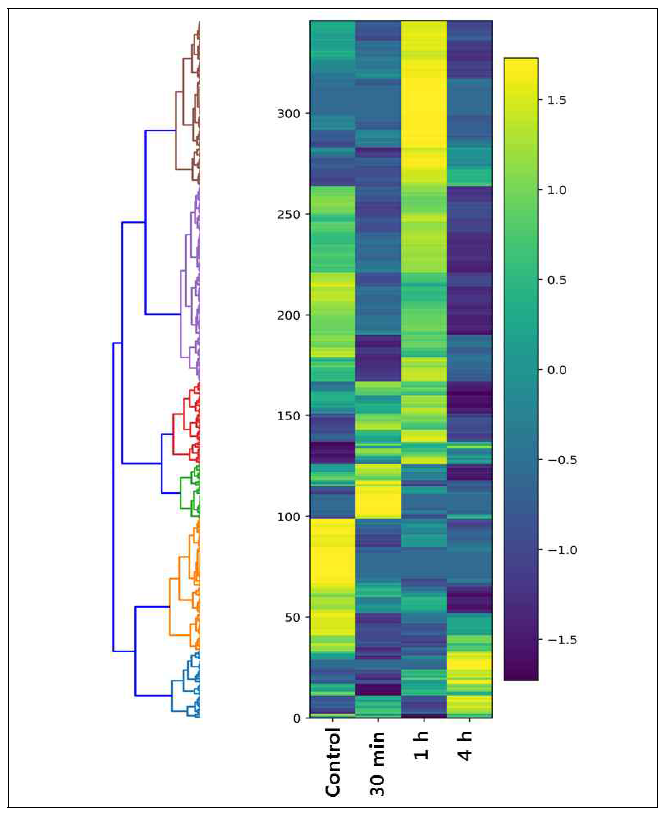 Hierarchiral clustering and heatmap showing DEGs in Arabidopsis seedlings exposed to toluene for 30 min, 1 h and 4 h