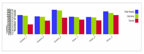 Read alignment of Control and 1-hour toluene-treated Arabidopsis samples