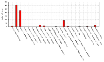 Number of genes involved in molecular functions toluene-treated Arabidopsis