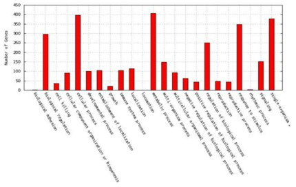 Number of genes pertinent to biological processes associated with toluene exposure of Arabidopsis