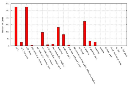 Number of genes involved in cellular component of Arabidopsis exposed to toluene