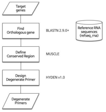 Work flow of RNA analysis