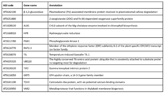 ORA59와 결합하는 후보 단백질 리스트