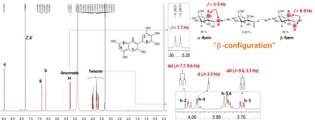 화합물 1의 1H-NMR 스펙트럼 및 배당체 결합 구조