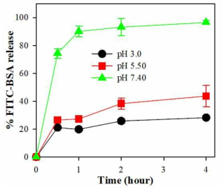 형광측정법으로 FITC-BSA을 탑재한 신규 시스템의 BSA용출율 확인