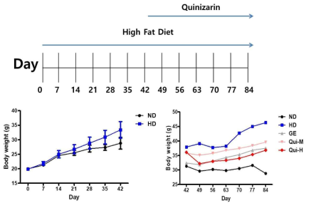 Body weight change of mice fed the different diets. ND : normal diet (10% calories from fat); HD : high fat diet (40% calories from fat); Qui-M : HD+quinizarin (15 mg/kg); Qui-H : HD+quinizarin (30 mg/kg); GE : garcinia extract (100 mg/kg, positive control)