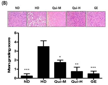 Effects of Quinizarin on hepatic steatosis. Histopathology of the livers, Mag=X200. The degree of lipid deposition in liver tissue is less than 5% of total liver tissue=0, 5~10%=1, 10~30%=2, 30~50%=3, 50-~70%=4, over 70%=5