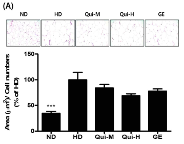 Effects of Quinizarin on epididymal fat tissue size. Histological features of the fat tissue in epididymal fat. Three adipocytes with relatively good shape were selected for measurement of size, Mag= X200