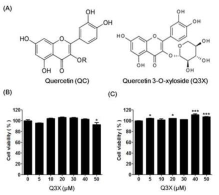 Effect of Q3X on cell viability of C2C12 mouse muscle cells. (A) The structures of quercetin (QC) and quercetin 3-O-xyloside (Q3X). Cell viability was measured by MTT assay after treatment with Q3X for 24 h in (B) undifferentiated and (C) differentiating C2C12 cells