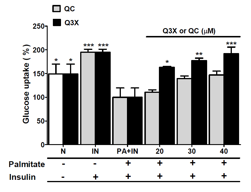 Q3X enhances glucose uptake in insulin resistant C2C12 myotubes. Insulin resistant C2C12 myoblast cells were prepared by treating cells with BSA-conjugated palmitate (PA) for 16 h and confirmed by measuring glucose uptake in the presence or absence of insulin (IN). The glucose uptake was measured using fluorescent derivative of glucose (2-NBDG). N, normal cells; IN, normal cells treated with insulin only; PA+IN, cells treated with BSA-conjugated palmitate and insulin; QC, quercetin; Q3X, quercetin 3-O-xyloside