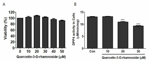 Effects of Quer-Rha on cell viability and activity of Quer-Rha on DPP4 activity in HepG2 cell. (A) Effects of Quer-Rha on cell viability of HepG2. (B) The effects of Quer-Rha on DPP-4 regulation in HepG2 cells