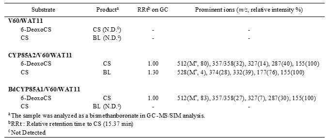 BdCYP 85A1 과발현 yeast에서 확인한 yeast feeding assay