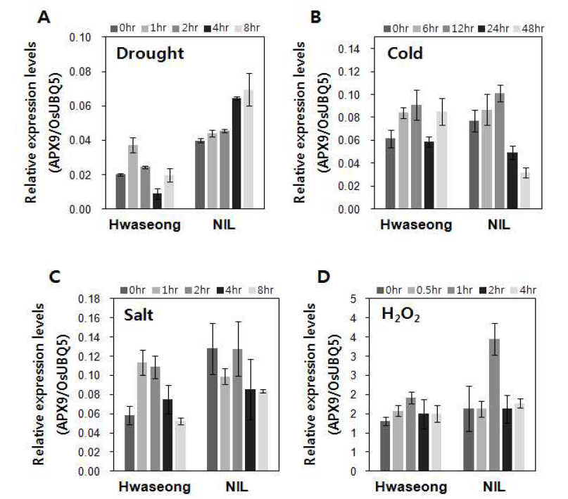 APX9 expression expression response to abiotic stresses. Time course of gene expression during drought (A), cold (B, 10℃), salt (C, 200mM), oxidative (D, 5mM) stresses. UBQ5 was used an internal control. Data represent means ± SD of three replicates. NIL: QTL-NIL