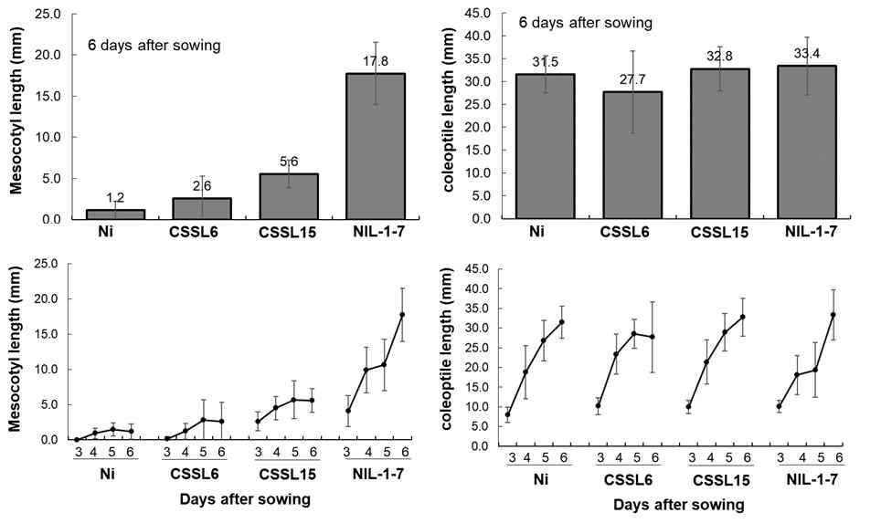 Length of mesocotyl and coleoptile at 6 days after sowing and time course of mesocotyl and coleoptile growth in seedlings