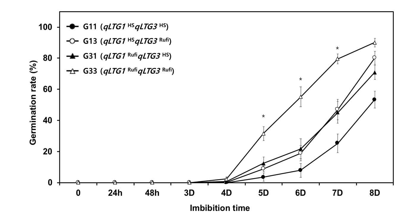 Comparison of germination rate of four genotype groups at 13°C. qLTG1HS and qLTG1Rufi indicatehomozygous for Hwaseong and O. rufipogon genotype at the qLTG1 locus, respectively. qLTG3HS and qLTG3Rufi mean homozygous for Hwaseong and O. rufipogon at the qLTG3 locus. * indicates the significant difference at P < 0.05 based on ANOVA