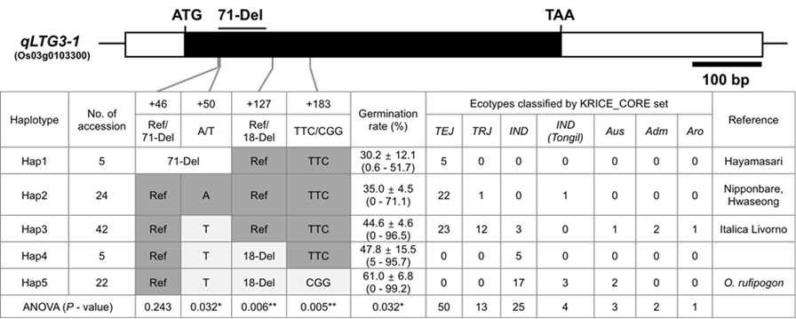 Haplotype analysis of qLTG3-1 using 98 rice accessions of KRICE_CORE set. Germination rate was represented as mean ± standard error and measured at 6 days after incubation at 13C. 1) Values in parenthesis are minimum and maximum germination rates in each haplotype. 2) TEJ = Temperate japonica; TRJ = Tropical japonica; IND = Indica; IND(Tongil) = Indica Tongil; Aus = Aus; Adm = Admixture; Aro = Aromatic